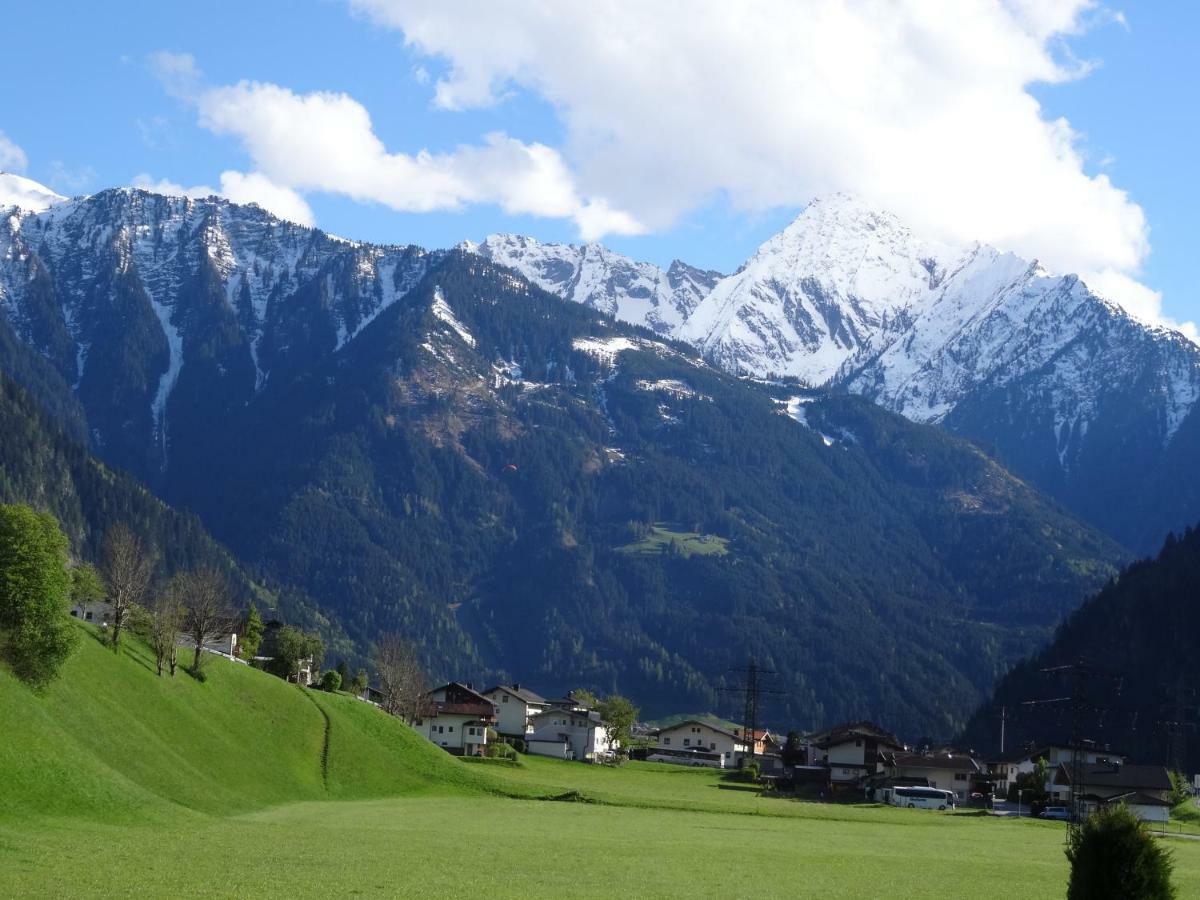 Apartment Martina Ramsau im Zillertal Bagian luar foto